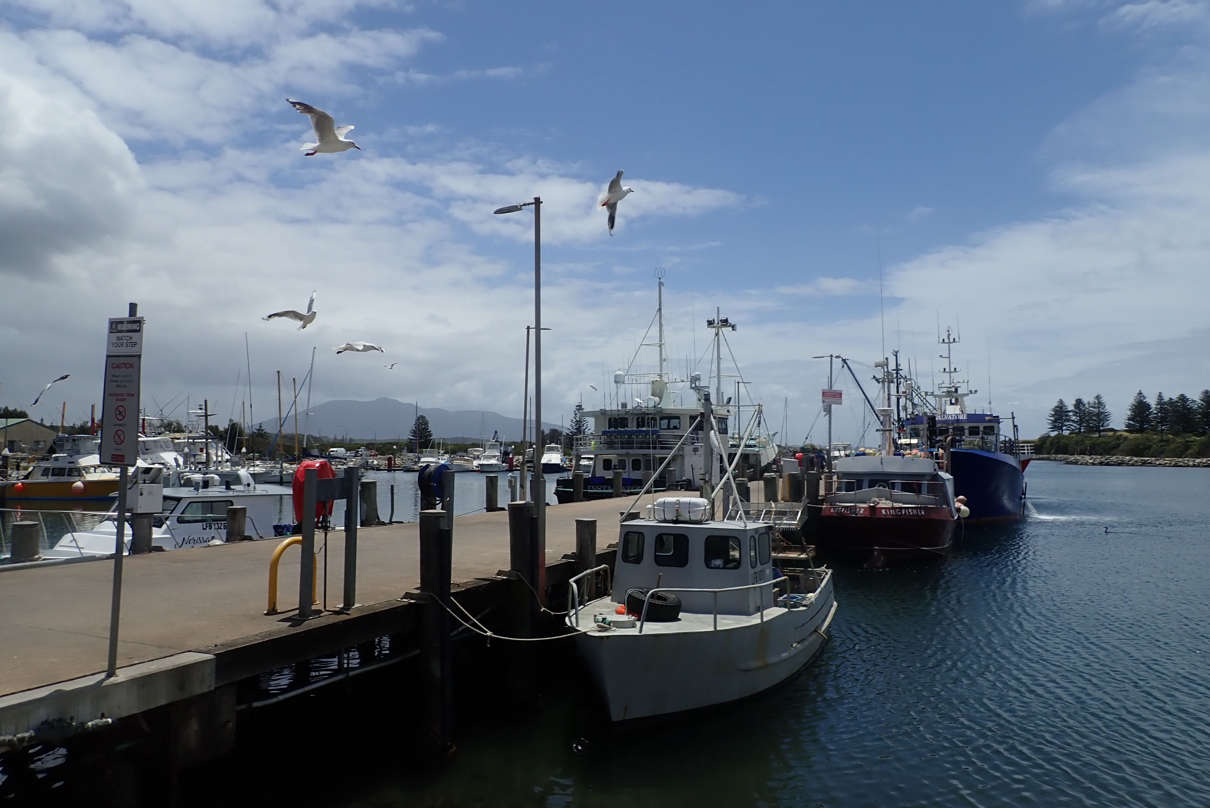 Bermagui Fishermen's Wharf